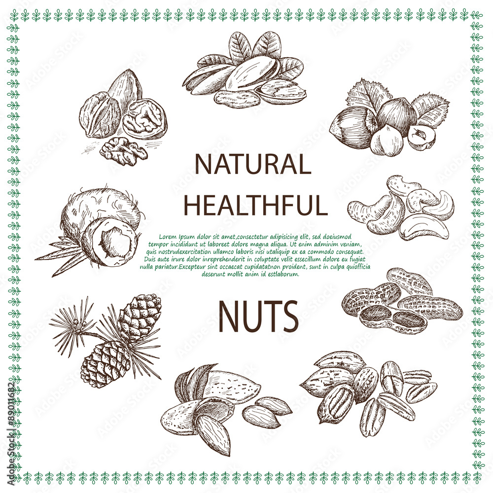 nuts set nuts set
