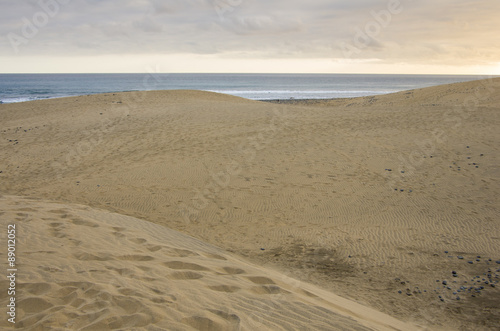 Dunes of Maspalomas