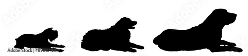 Fototapeta Naklejka Na Ścianę i Meble -  Vector silhouette of a dog.