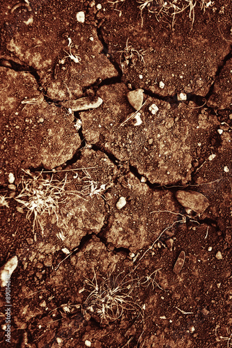 Texture of cracked sunburned soil © korionov