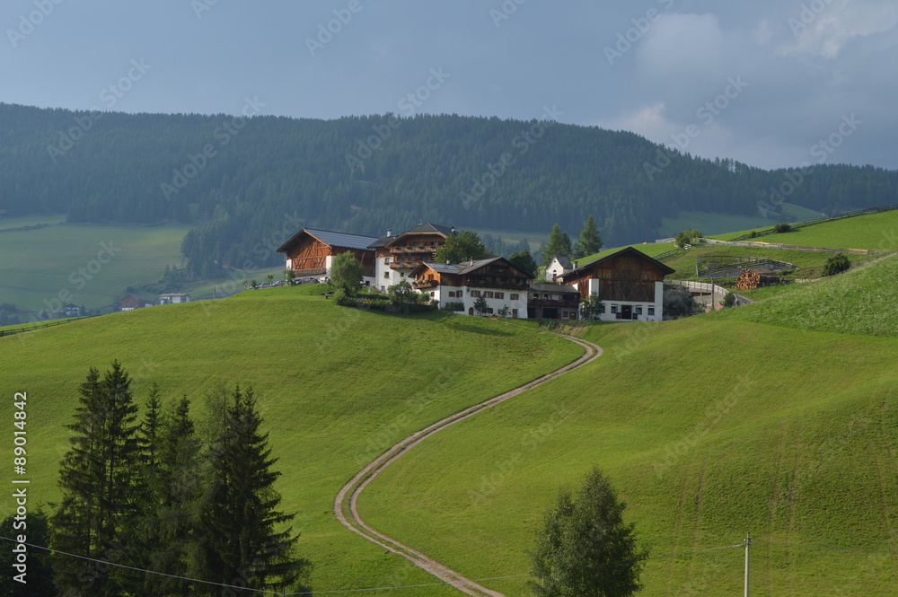 Mountain farm