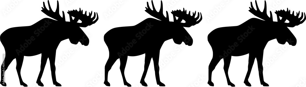 Obraz premium Three moose elk