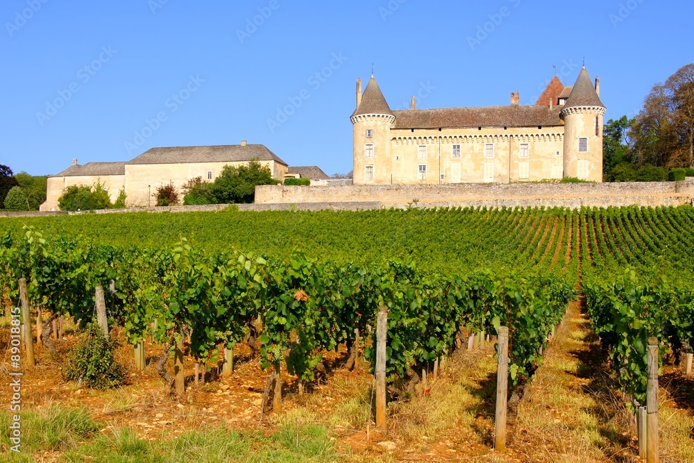 Medieval chateau in the beautiful vineyards of Burgundy, France