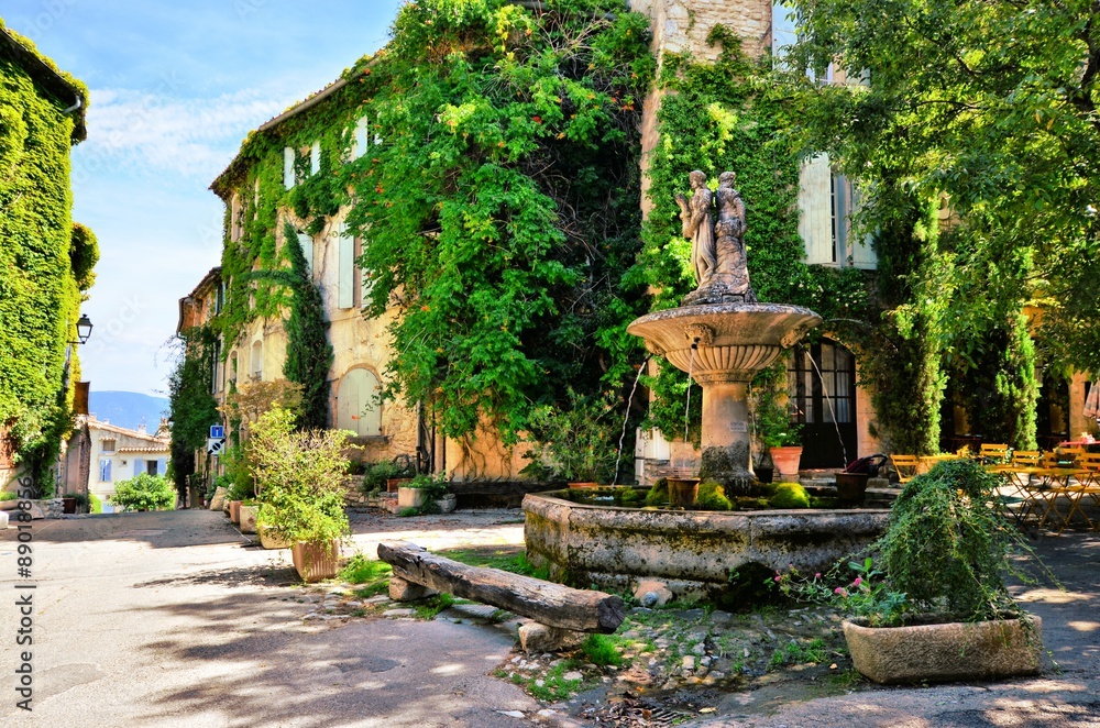 Fototapeta premium Obfitolistny rynek z fontanną w malowniczej wiosce w Provence, Francja