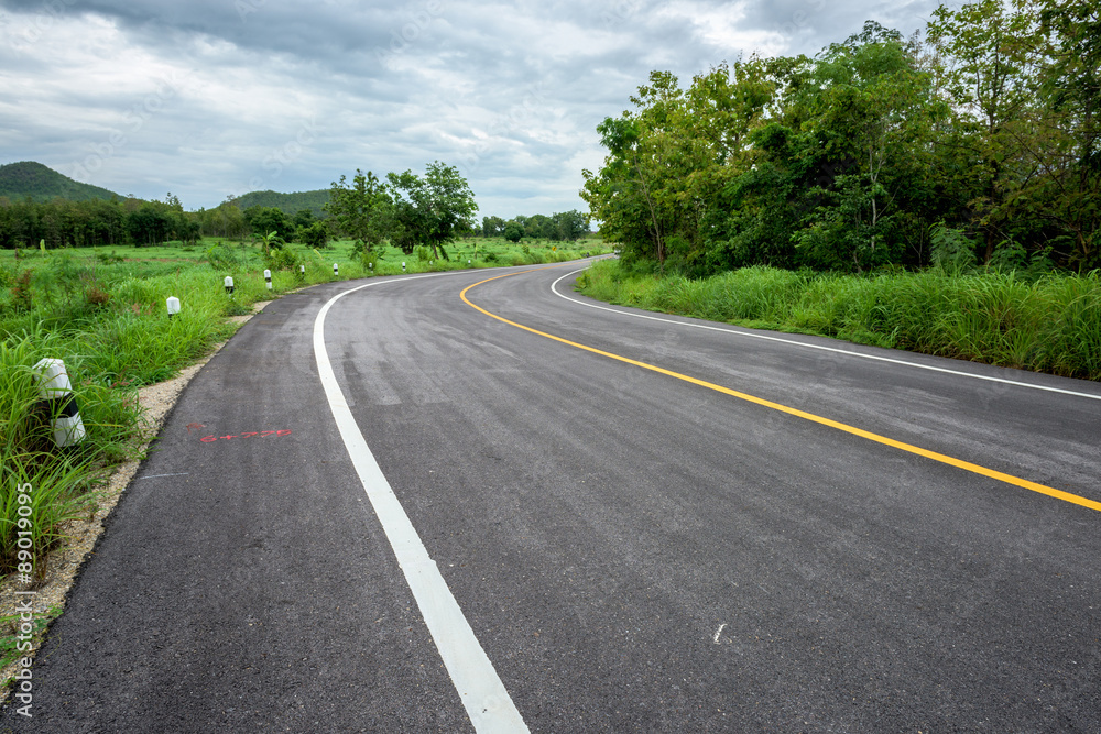 road in forest