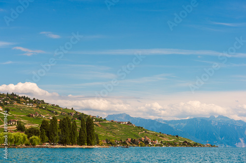 Summer landscape of Lake Geneva, Lavaux vineyards and Alps, Switzerland