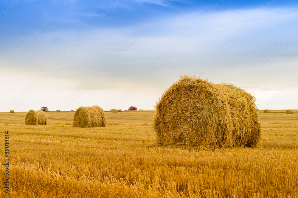 Straw bale on the field after harvest. Focus foreground