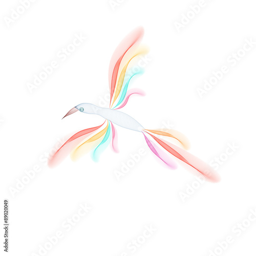 Abstract bird isolated on white background. Vector illustration.