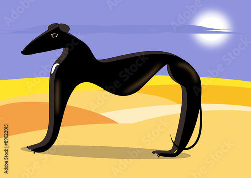 Perro de raza galgo español en color negro.