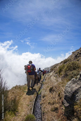 Madeira island levada walks