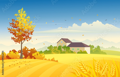 Rural autumn