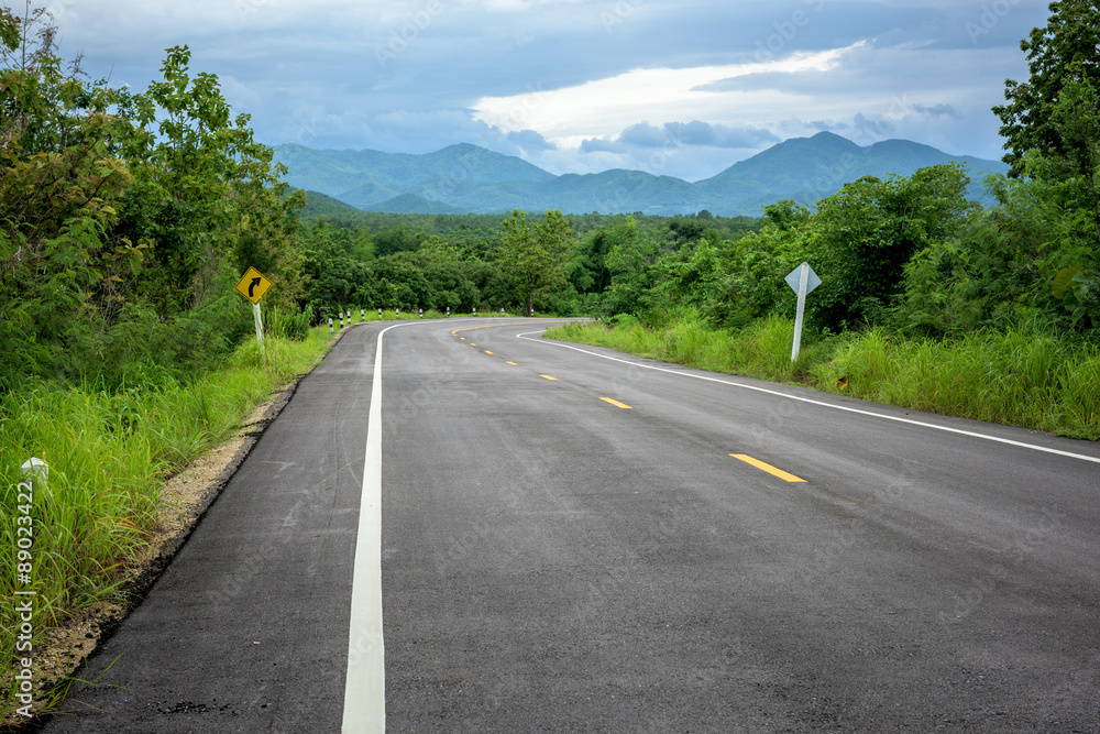 road in forest