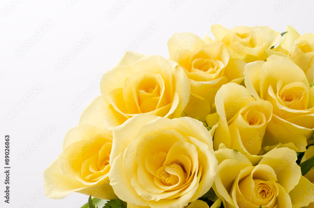 Obraz premium 黄色いバラ