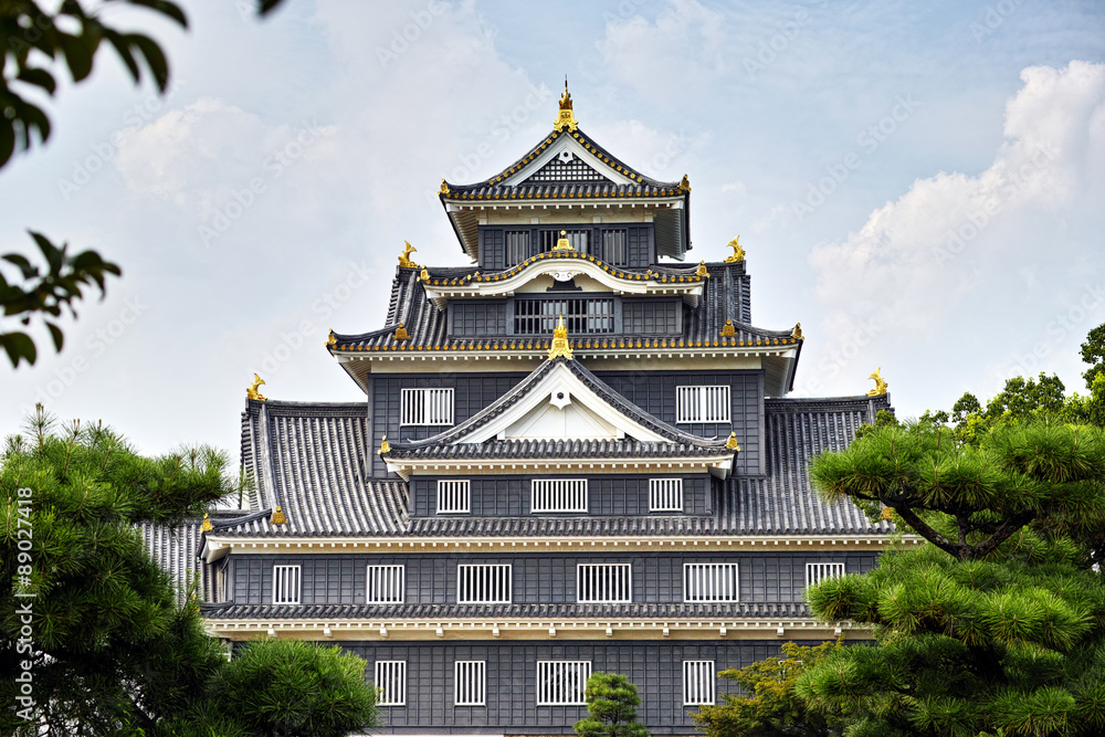 Obraz premium 岡山城 天守閣