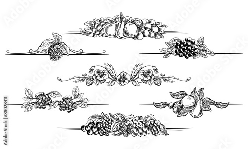 Vector fruit foliage page dividers