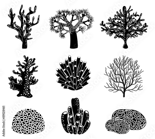 Vector set of black coral silhouettes