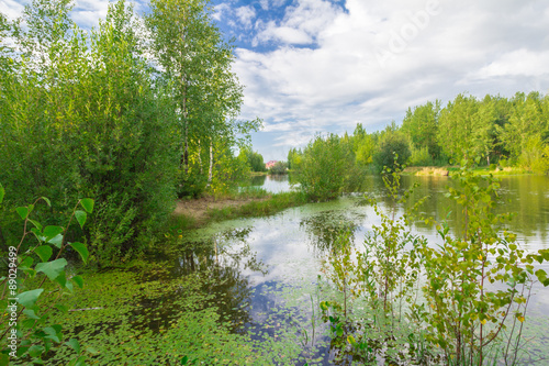 Forest Lake
