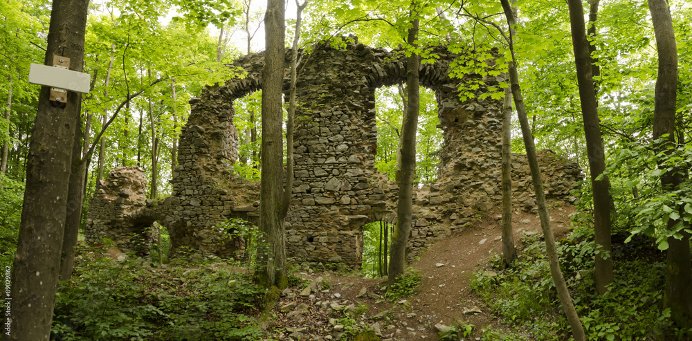 panorama ruins of the castle in the woods panorama ruins of the castle in the woods