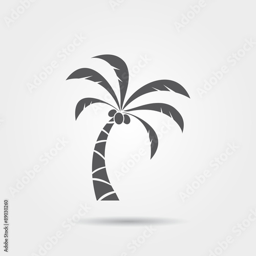 Palm tree icon