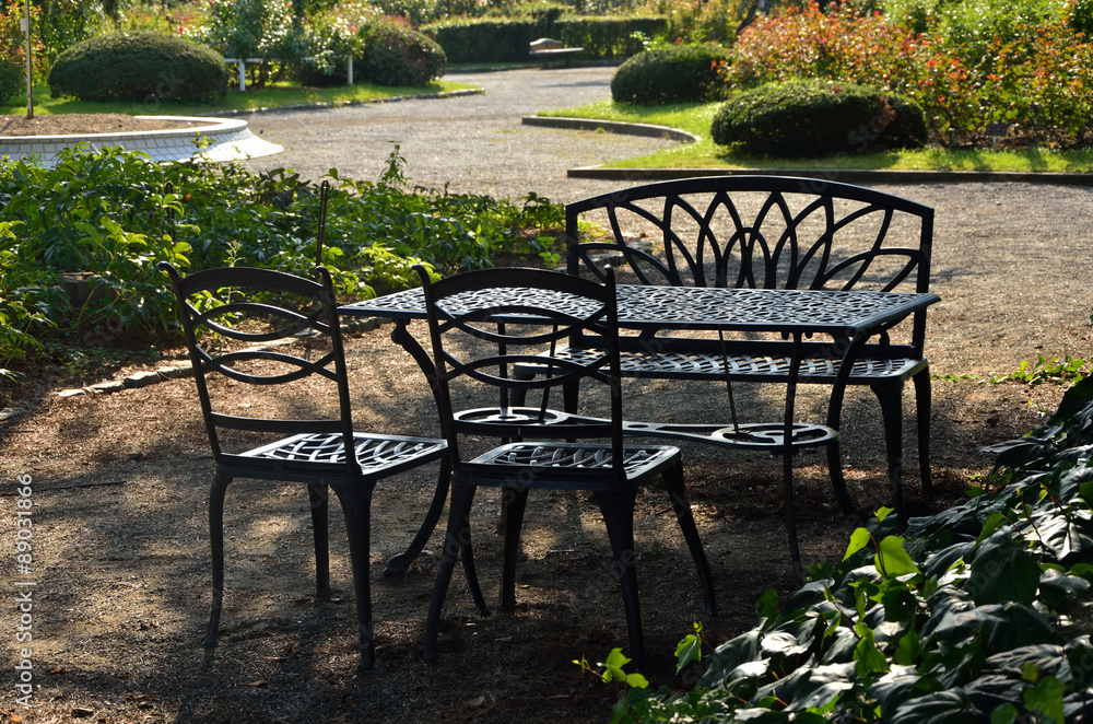 Obraz premium Garden table 庭園