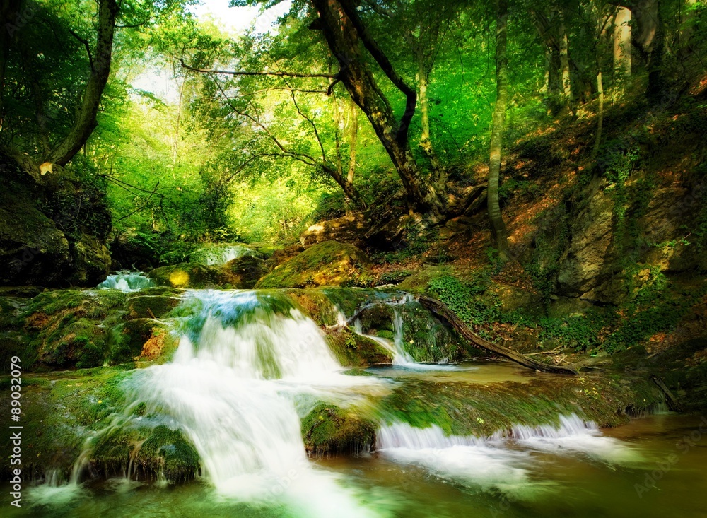 Fototapeta premium Foamy fall in a forest.