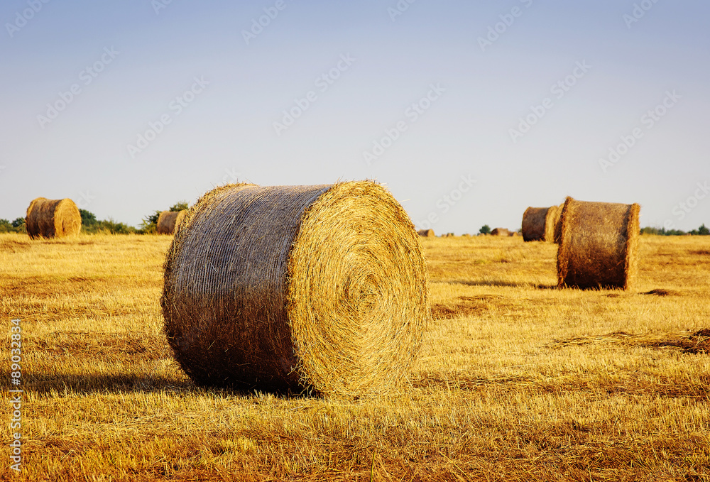 big round bales of straw in the meadow