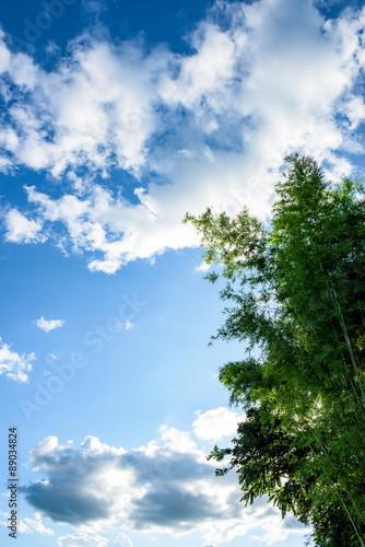 Fototapeta Naklejka Na Ścianę i Meble -   green leaves on a background of blue sky and clouds