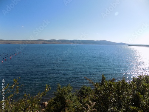 Forest, sea, hills and sunny sky