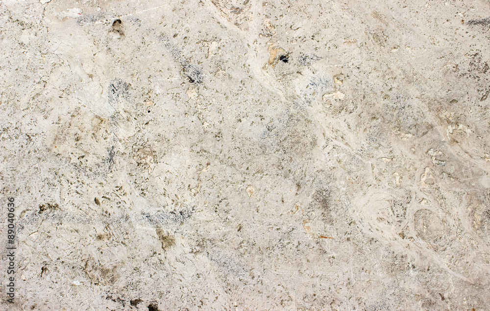 background / Structure of a stone slab of limestone background / Structure of a stone slab of limestone