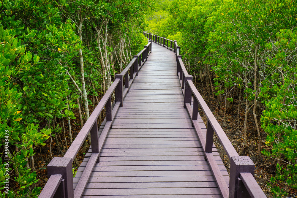 Wooden bridge to the jungle,Prachuap Khiri Khan,Thailand Wooden bridge to the jungle,Prachuap Khiri Khan,Thailand