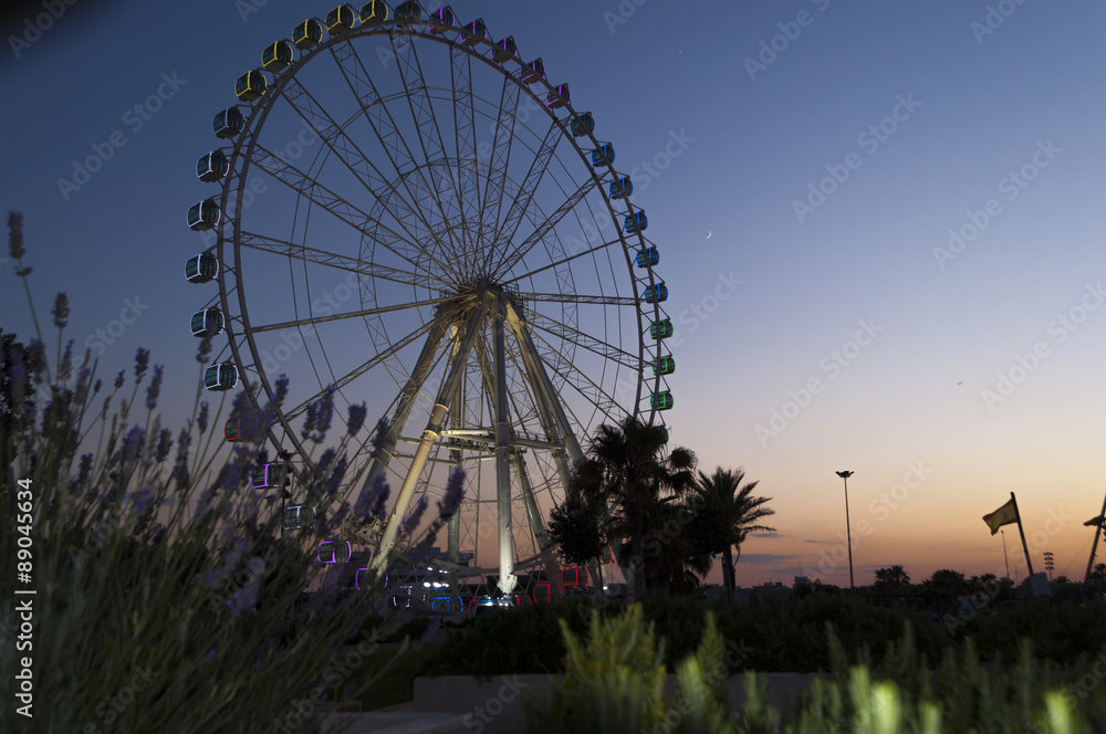  Ferris wheel