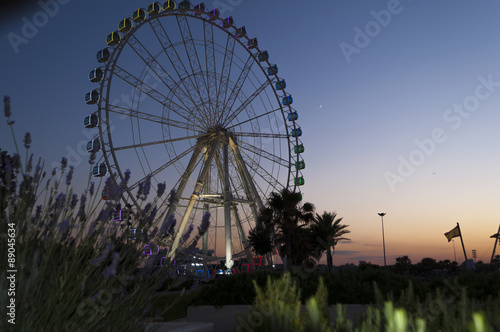  Ferris wheel © borispain69
