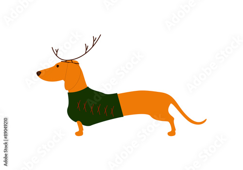 Dachshund in Christmas suit