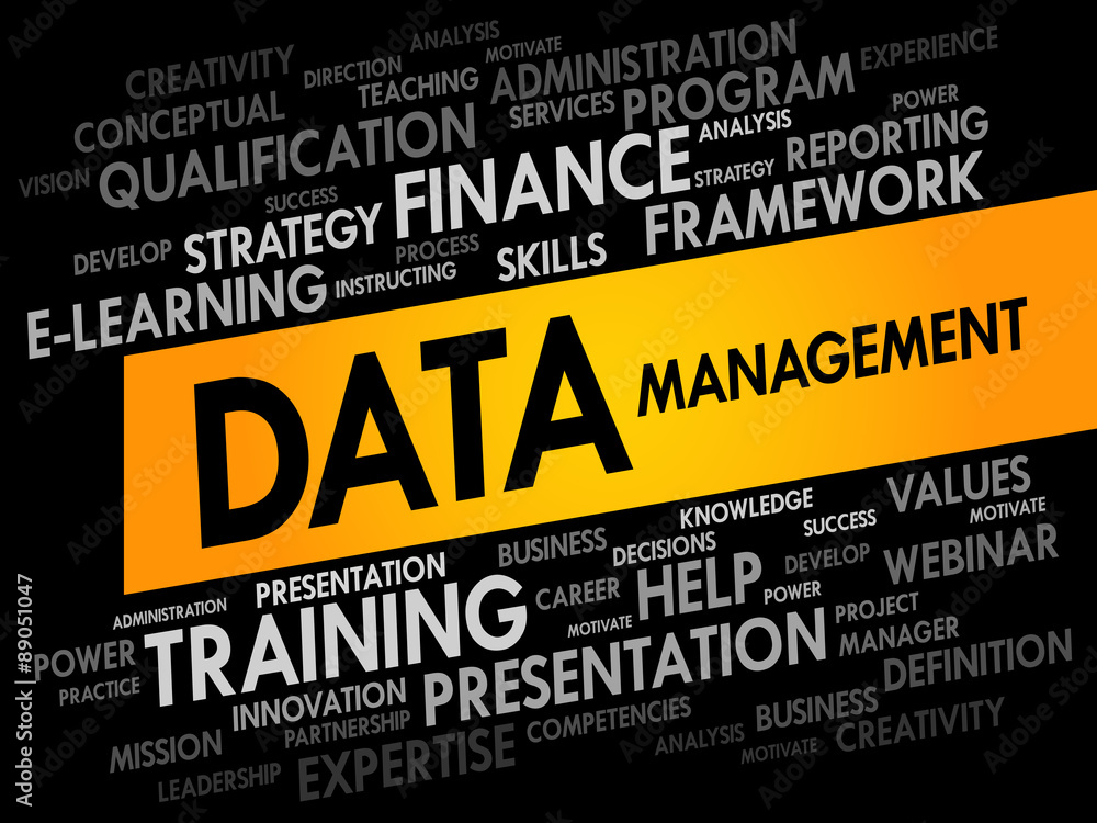Data Management word cloud, business concept