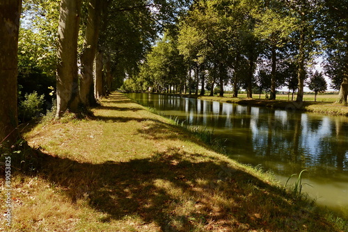 Montech - Canal  Canal du Midi  Ecluse  Platane