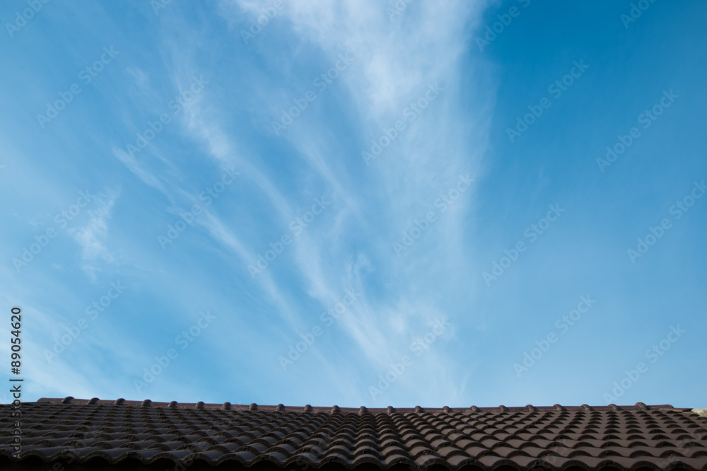 Roofs against the sky