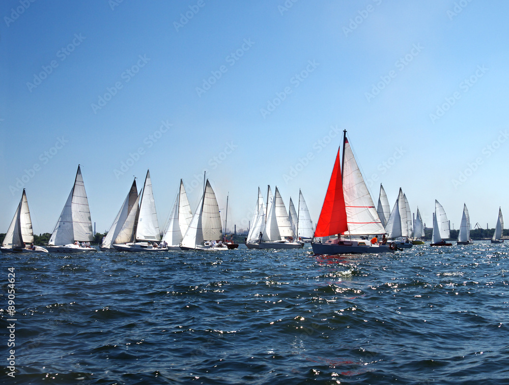 lots of sailboats on a blue surface of water against the blue sky - obrazy, fototapety, plakaty 