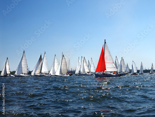 lots of sailboats on a blue surface of water against the blue sky