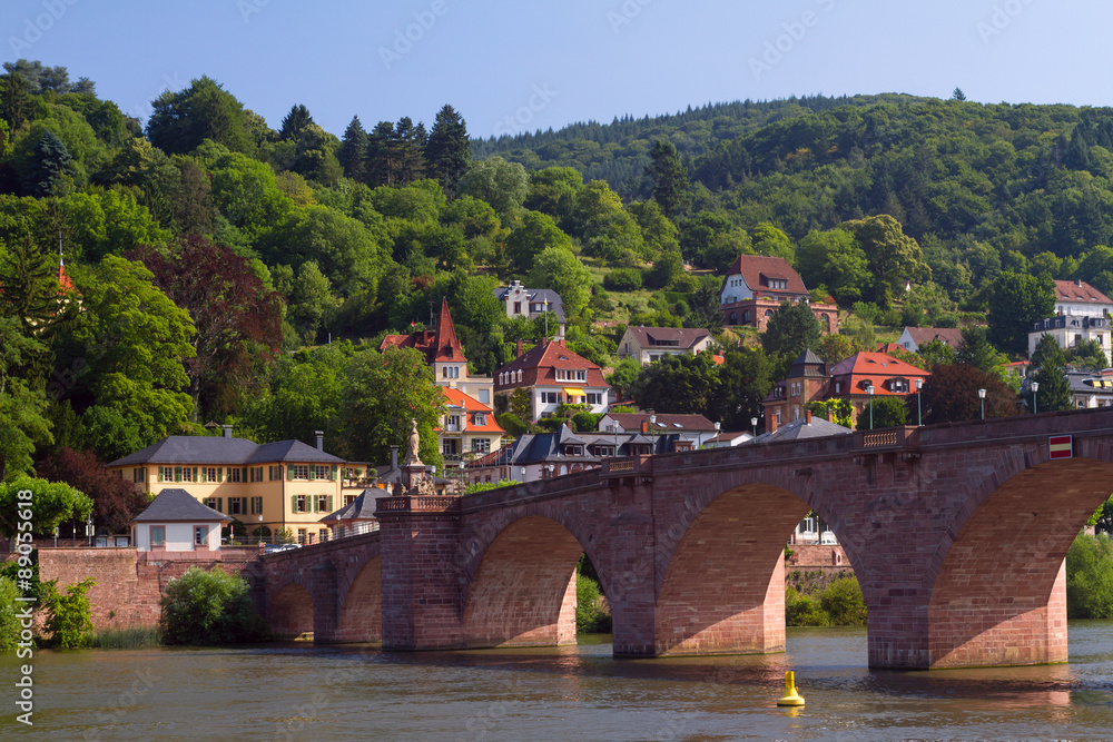 Heidelberg houses
