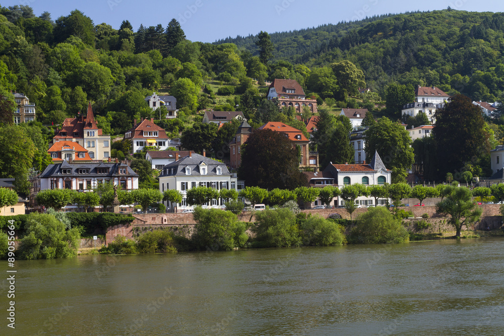 Obraz premium Heidelberg houses