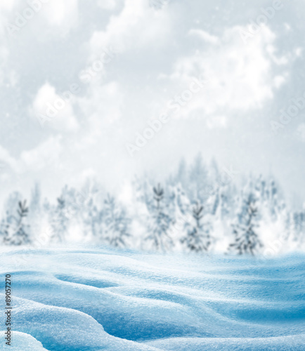 Wallpaper Mural Winter Forest. Winter landscape. Torontodigital.ca