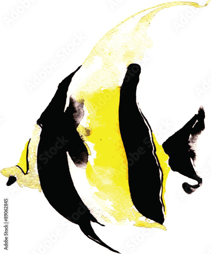 fish angelfish , hand-drawn watercolor