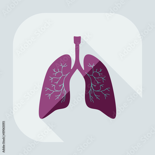 Flat modern design with shadow icons lungs