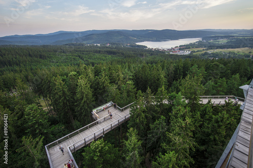 Lipno, Stezka korunami stromů