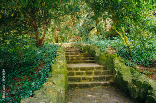 Stone Pathway Walkway Lane Path With Green Trees And Bushes In P