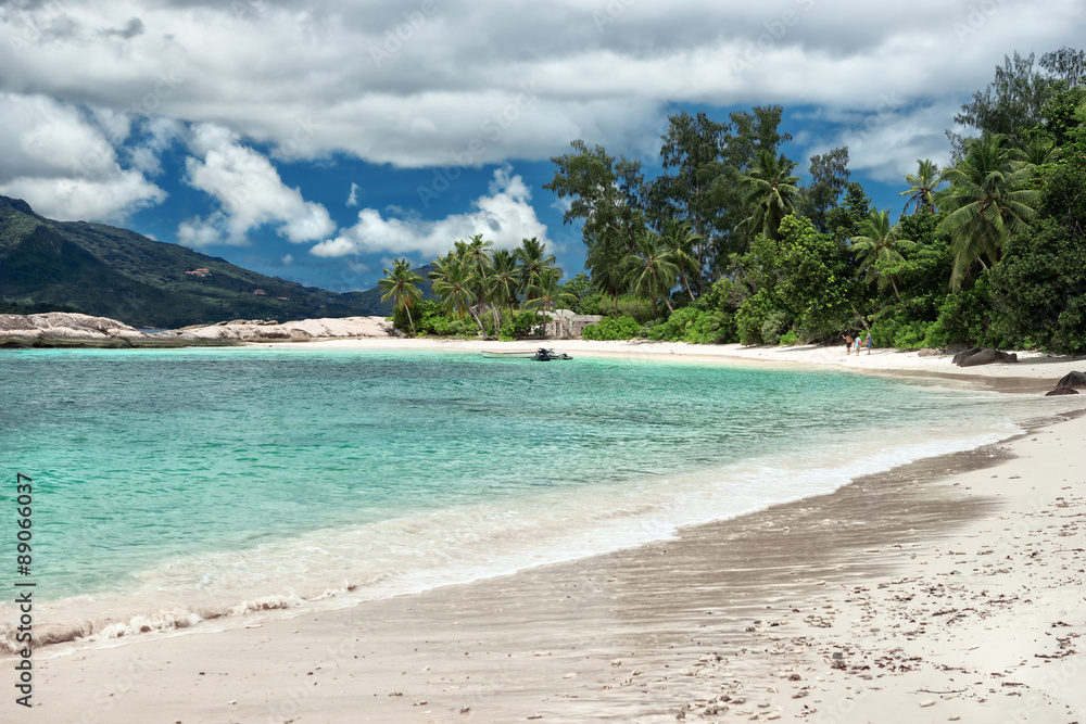 Seychelle island beach, untouched nature, vacation background