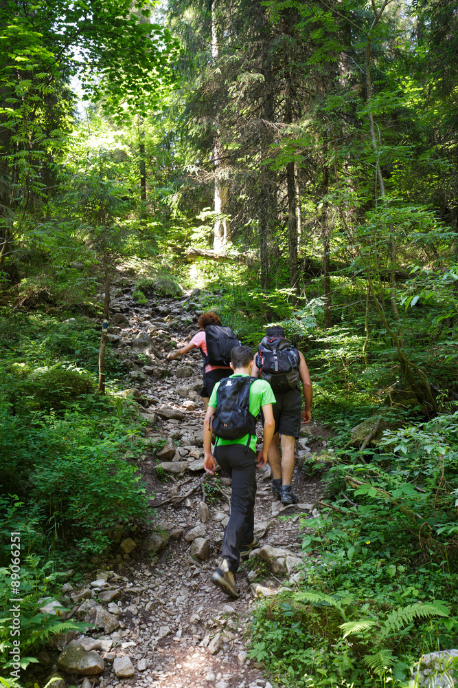 Hikers family going uphill on a trail