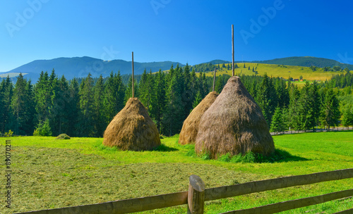 Valokuva Haystacks in summer countryside