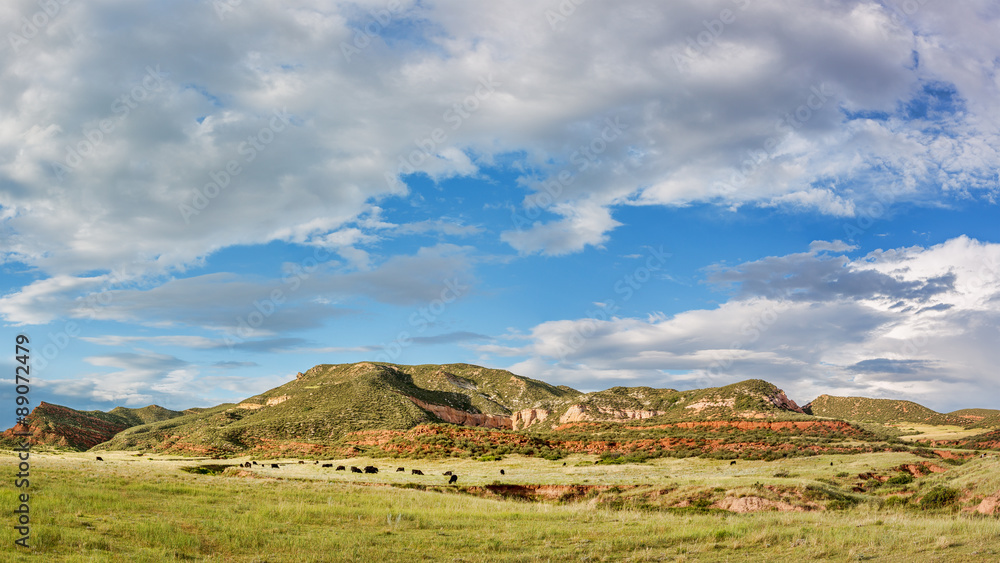 Red Mountain Open Space panorama