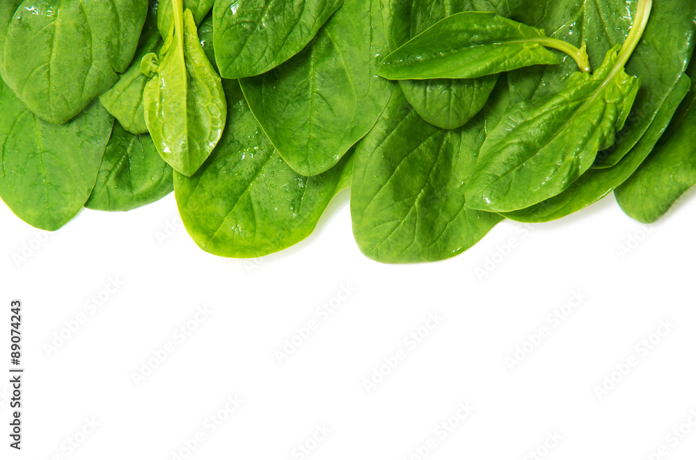 Fototapeta premium Spinach on a white background